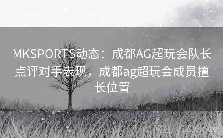 MKSPORTS动态:成都AG超玩会队长点评对手表现,成都ag超玩会成员擅长位置