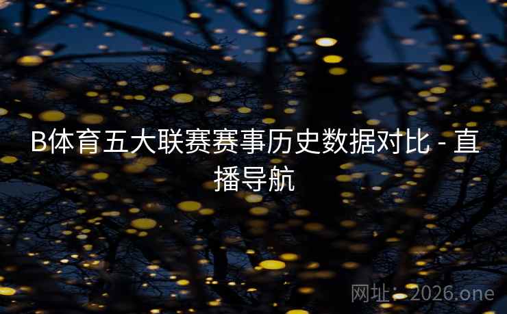 B体育五大联赛赛事历史数据对比 - 直播导航