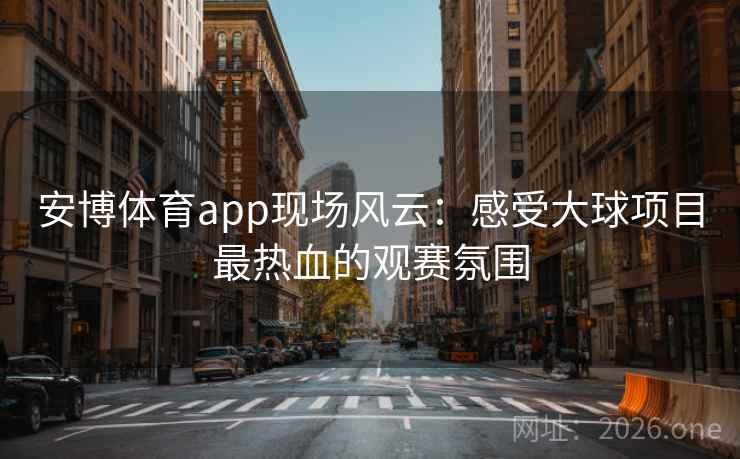 安博体育app现场风云:感受大球项目最热血的观赛氛围