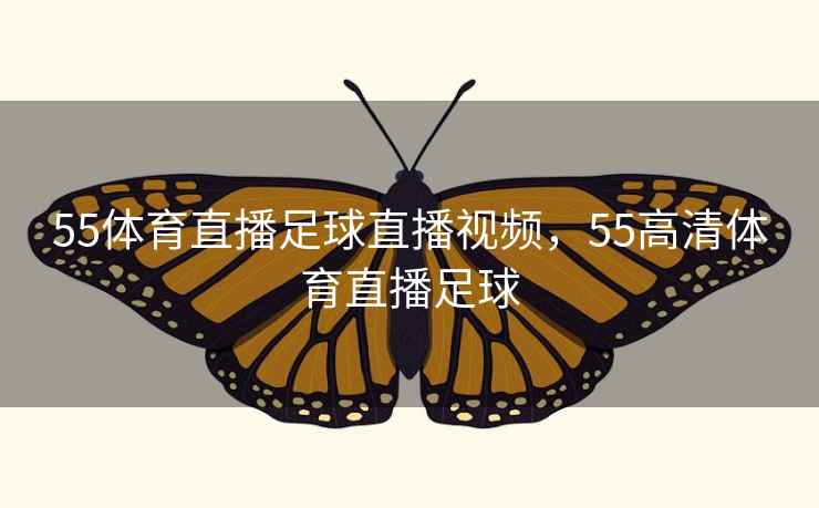 55体育直播足球直播视频,55高清体育直播足球