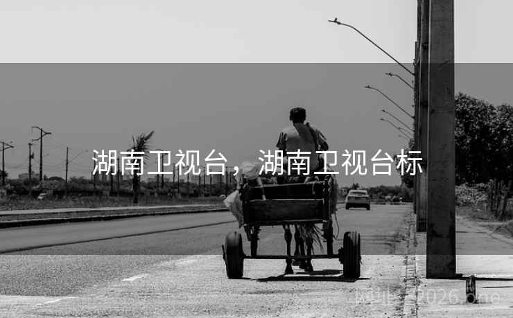 湖南卫视台,湖南卫视台标