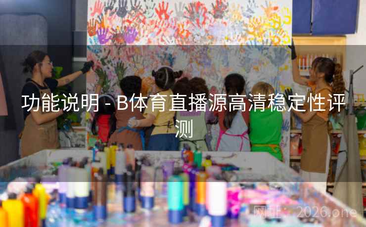 功能说明 - B体育直播源高清稳定性评测