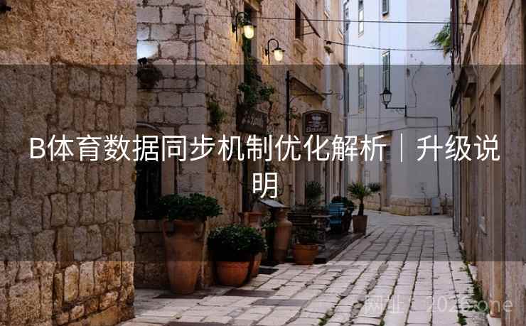 B体育数据同步机制优化解析|升级说明