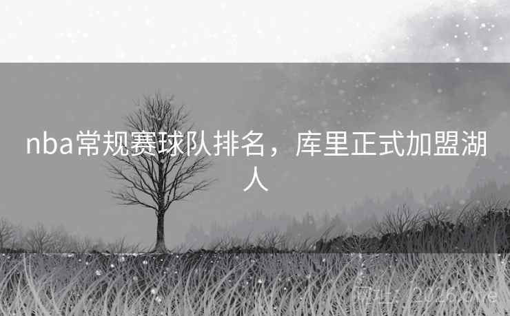 nba常规赛球队排名,库里正式加盟湖人