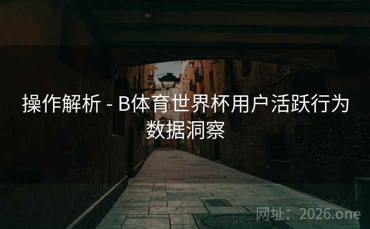 操作解析 - B体育世界杯用户活跃行为数据洞察