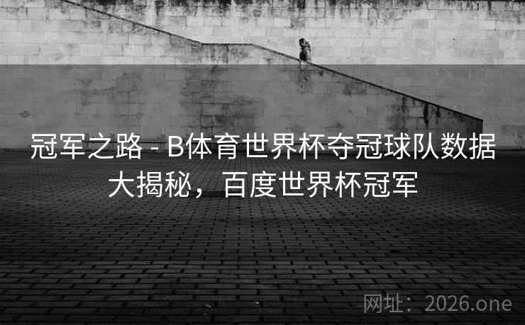 冠军之路 - B体育世界杯夺冠球队数据大揭秘，百度世界杯冠军