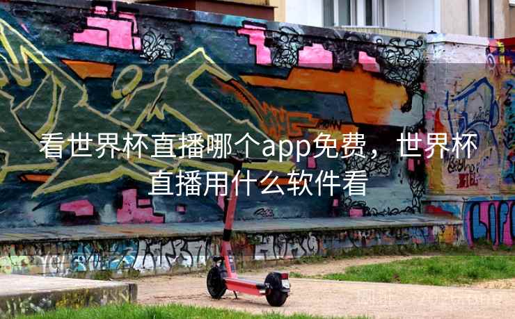 看世界杯直播哪个app免费，世界杯直播用什么软件看