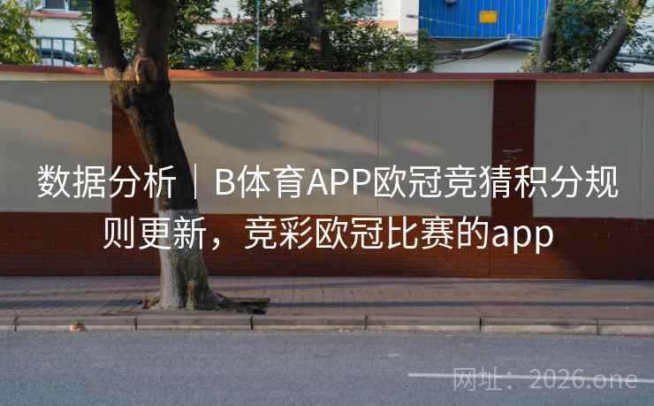 数据分析|B体育APP欧冠竞猜积分规则更新,竞彩欧冠比赛的app